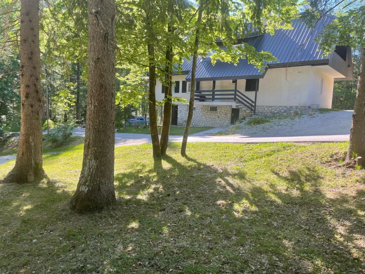 Martinov Dom Apartment Kranjska Gora Exterior photo